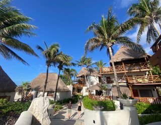 Tussen de palmbomen en verblijf Playa del Carmen