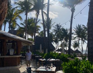 Tussen de palmbomen in Playa del Carmen