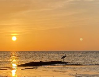 Zonsondergang Isla Holbox