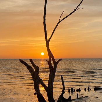 Vertrek uit Isla Holbox