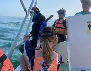 Kindje op boot tijdens spotten van walvishaaien