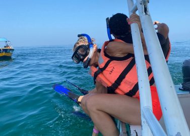 Zwemmen met walvishaaien in Isla Holbox