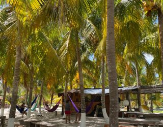 Strand en bomen Holbox