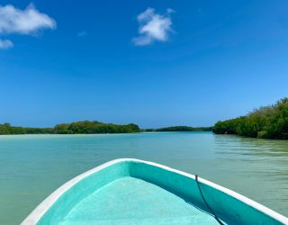Varen op water in Rio Lagartos