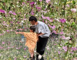 Vader en zoon bewonderen teamLab