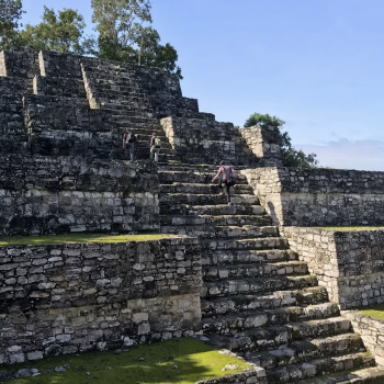 Vertrel Calakmul