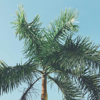 Vertrek uit Playa del Carmen