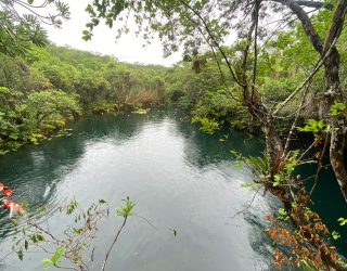 Cenote hangrek