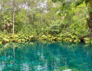 Kristalheldere cenote