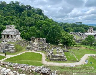 Alle tempels Palenque
