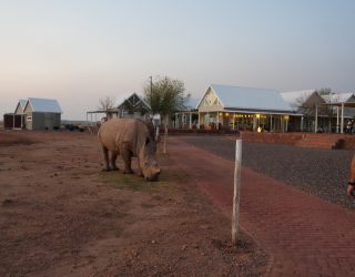 Overnachten tussen de neushoorns