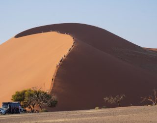Beklim de duinen van Sossusvlei