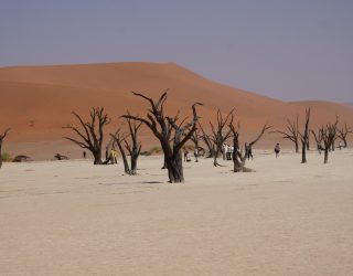 Deadvlei Sossusvlei