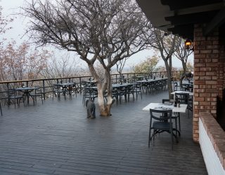 Terras verblijf Etosha