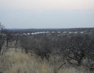 Uitzicht over verblijf Etosha