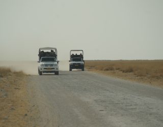 Wildlife spotten met Jeep Etosha