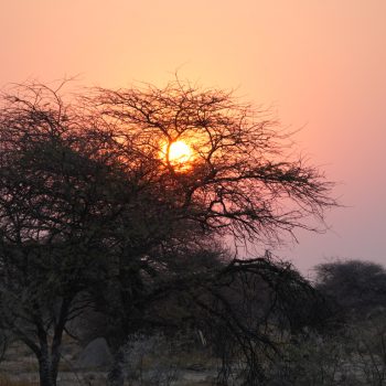 Vertrek uit Onguma