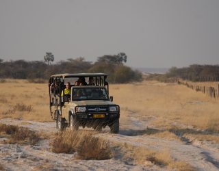 Op safari met de jeep in Onguma
