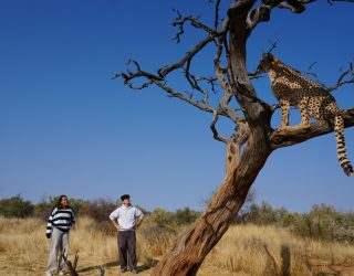Twee tieners kijken naar Cheetah in boom