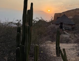 Zonsondergang tussen kaktussen Ugab