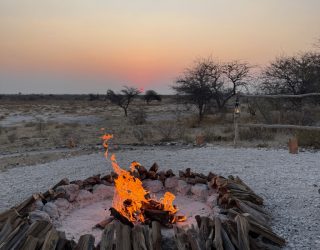 Kampvuur bush diner bij zonsondergang