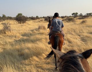 Paardrijden met zonsondergang in Namibië