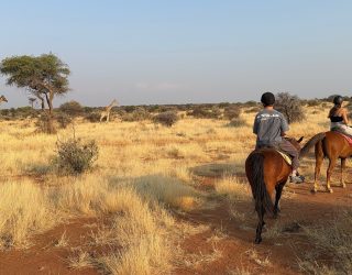 Paardrijden in het mooie Namibië