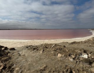 Roos meer Swakopmund Namibië