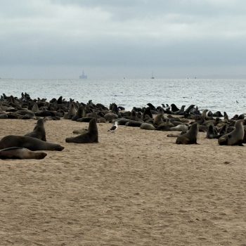 Aankomst in Swakopmund