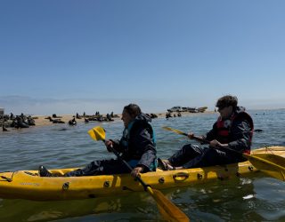 Tieners kajakken op zee tussen zeehonden