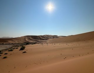 Uitzicht op woestijn Sossusvlei
