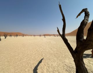 Deadvlei in Namibië