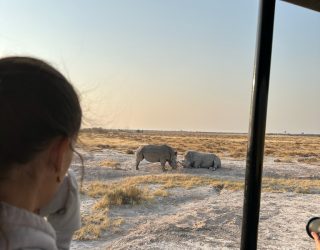 Tiener in jeep in Onguma