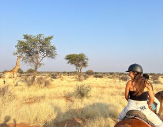 Paardrijden tussen het wild