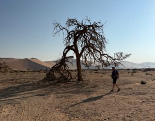 Droog landschap Sossusvlei