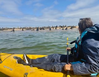 Tiener op kajak spot zeehonden