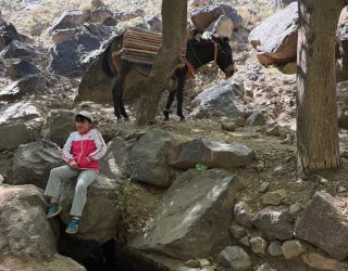 Kindje met ezel in Marokko