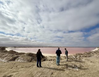 Roos meer in Swakopmund