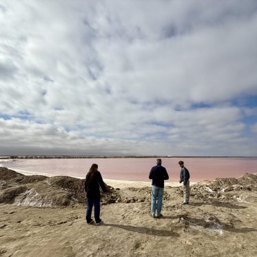 Roos meer in Swakopmund