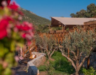 Glamping nabij Budva