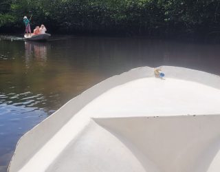 Mangrove tour Lembongan