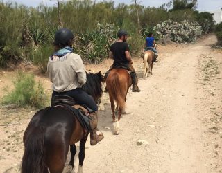 Paardrijden Essaouira