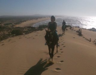 Foto Strand Zee Paard Essaouira