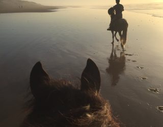 Foto Op Strand Te Paard