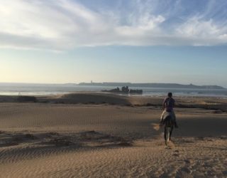 Foto Zee Strand Paard