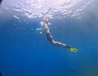 Snorkelavontuur Mantaroggen spotten