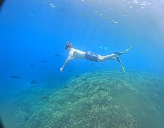 Snorkelen tussen prachtige mantaroggen