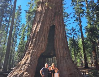 Familie D'Hoker bij boom in West USA