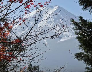 Mount Fuji tussen de takken van de bomen