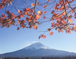 Mount Fuji tussen de bladeren van de bomen